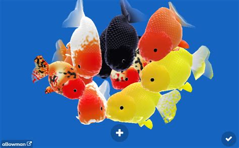 goldfish fun website|New Goldfishies Web App! .